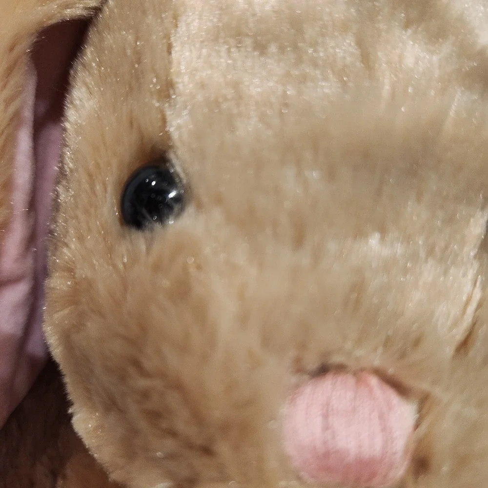 Build-A-Bear Pawlette Bunny Tan Easter Rabbit Plush Stuffed Animal No Sound Box